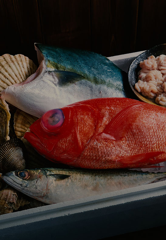 食材・海鮮